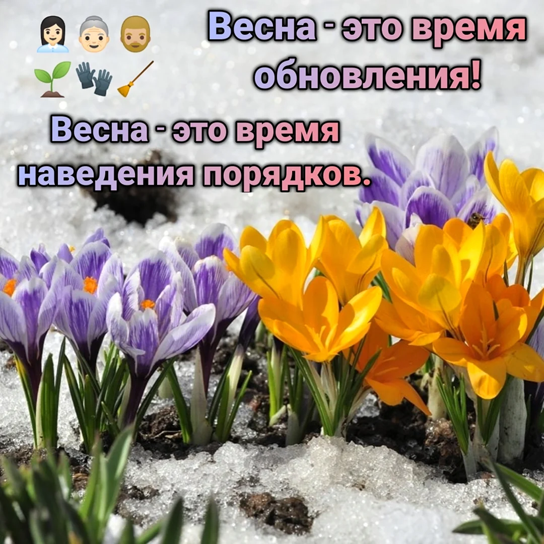 Весна это время