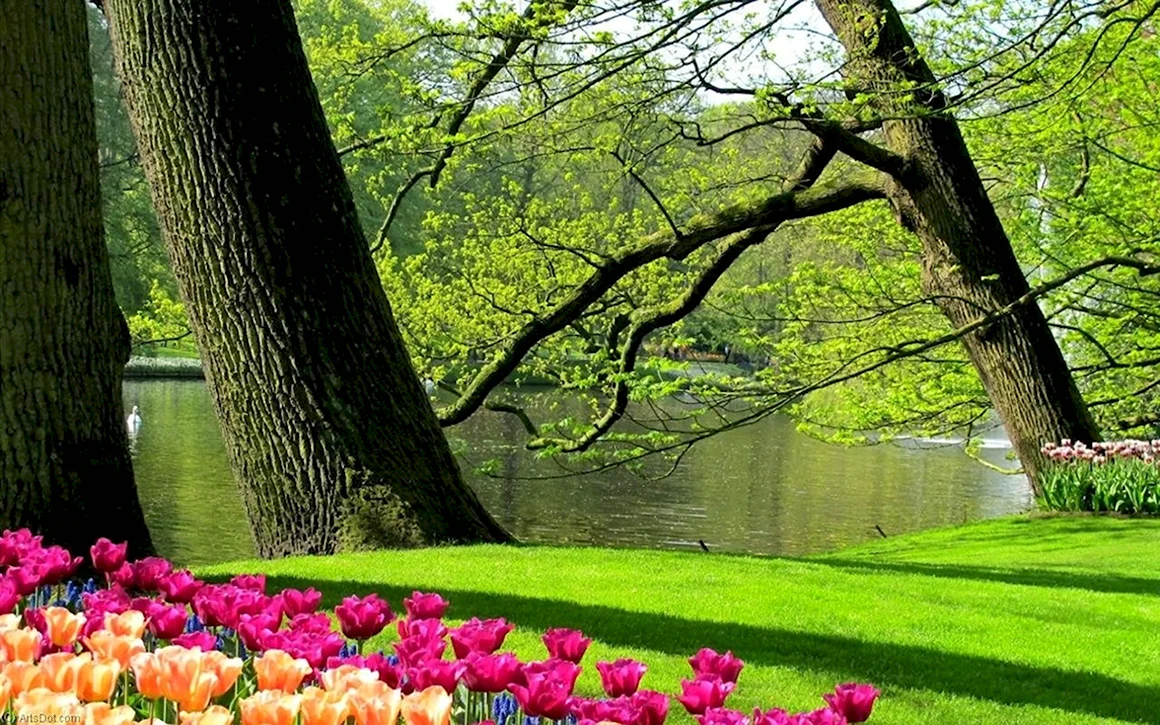Весна природа