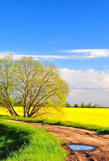 Весна природа деревня
