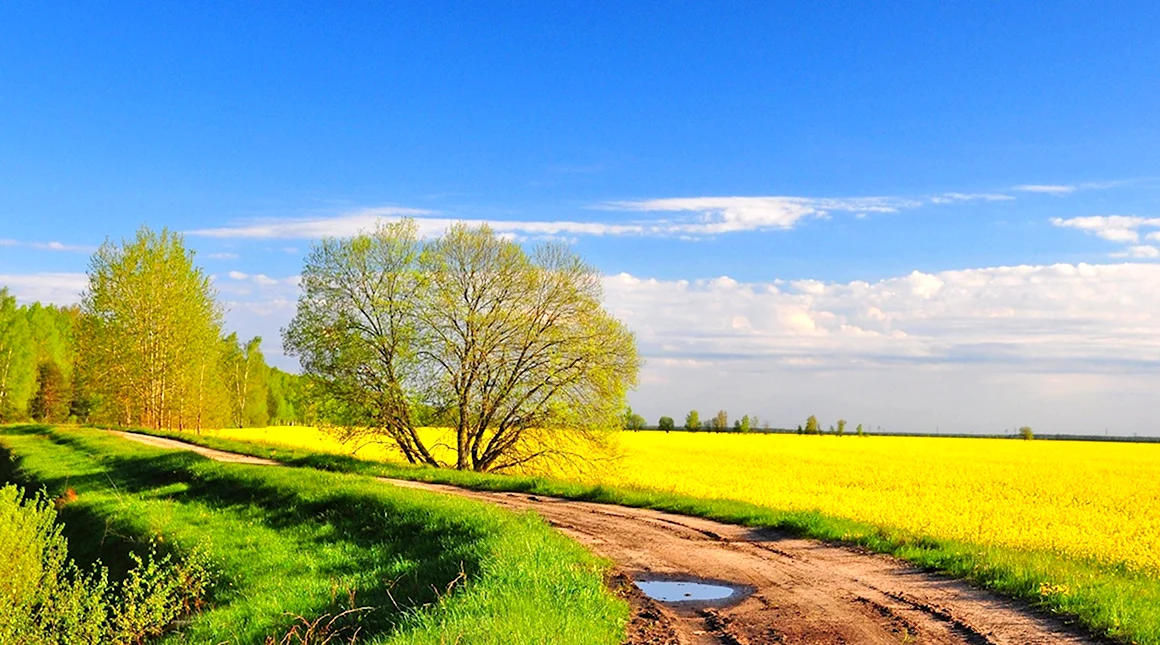 Весна природа деревня