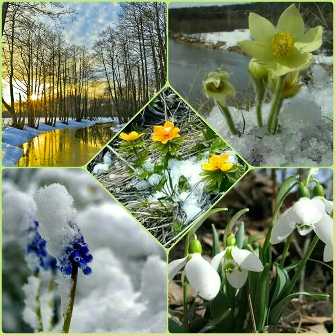 Весна пришла