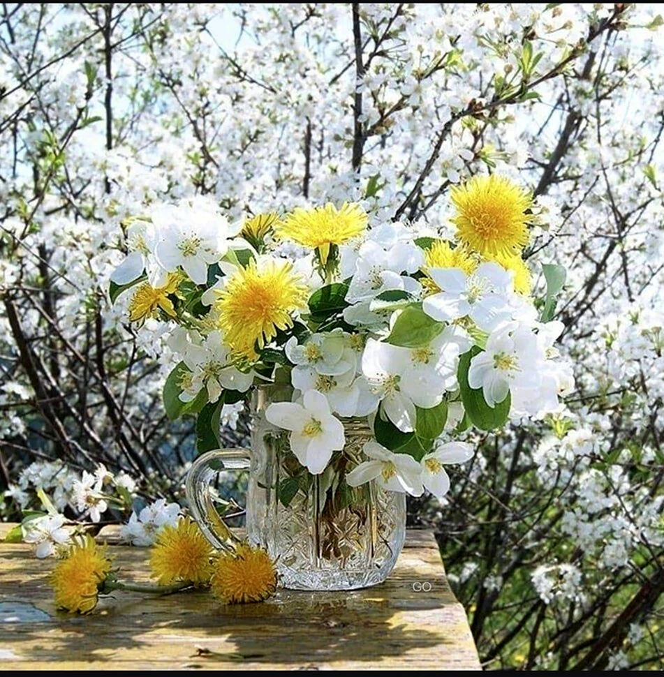 Весна солнце