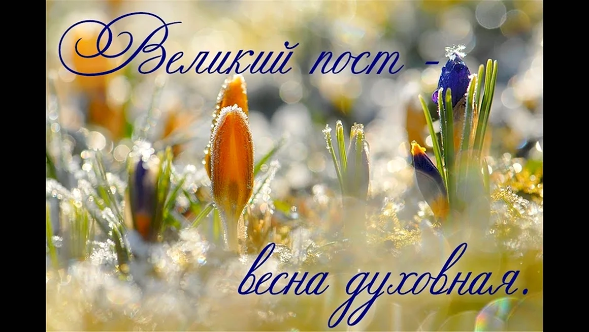 Весна солнце