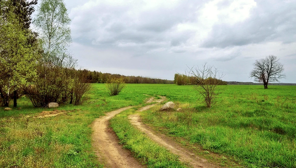 Весна в деревне