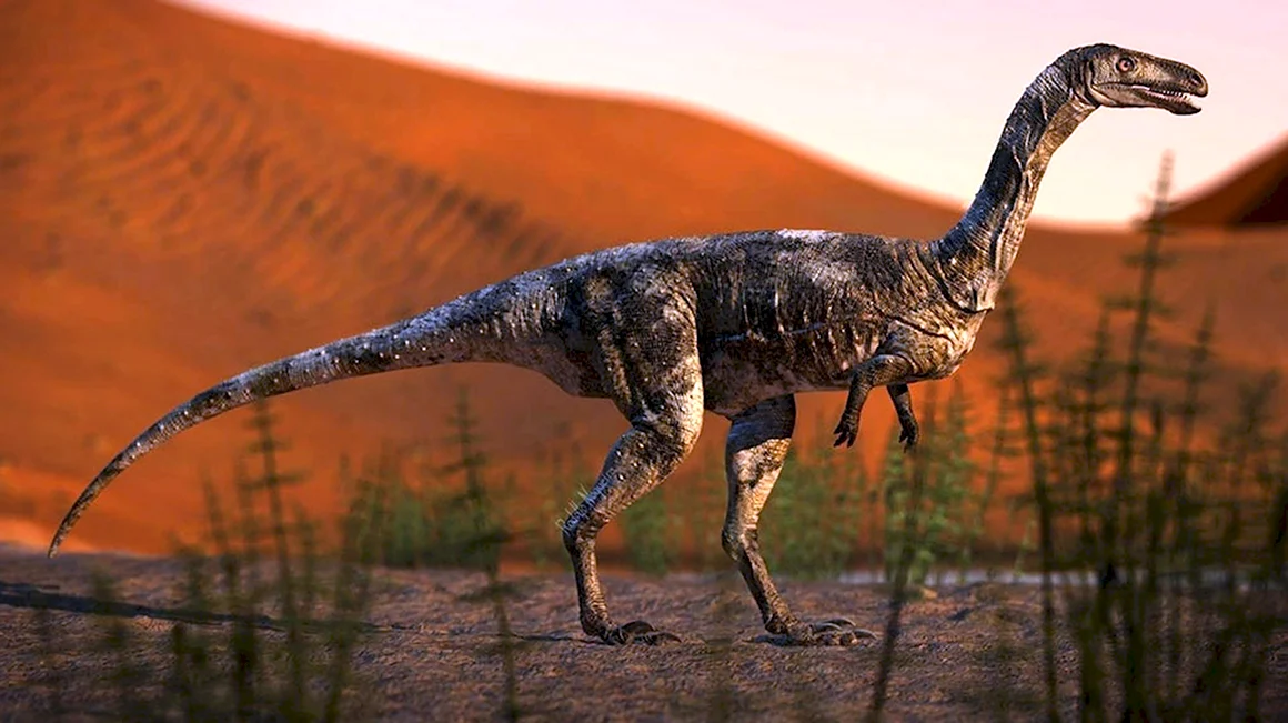 Vespersaurus paranaensis