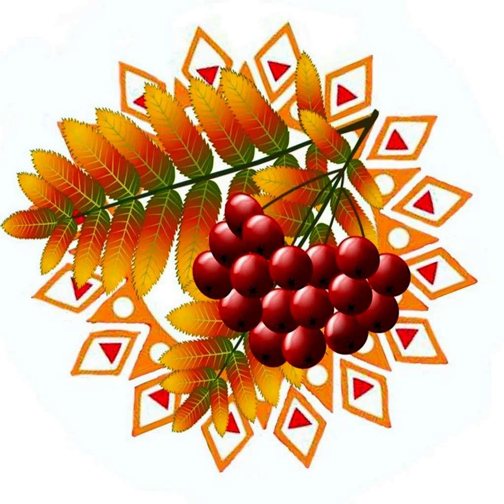 Ветка рябины