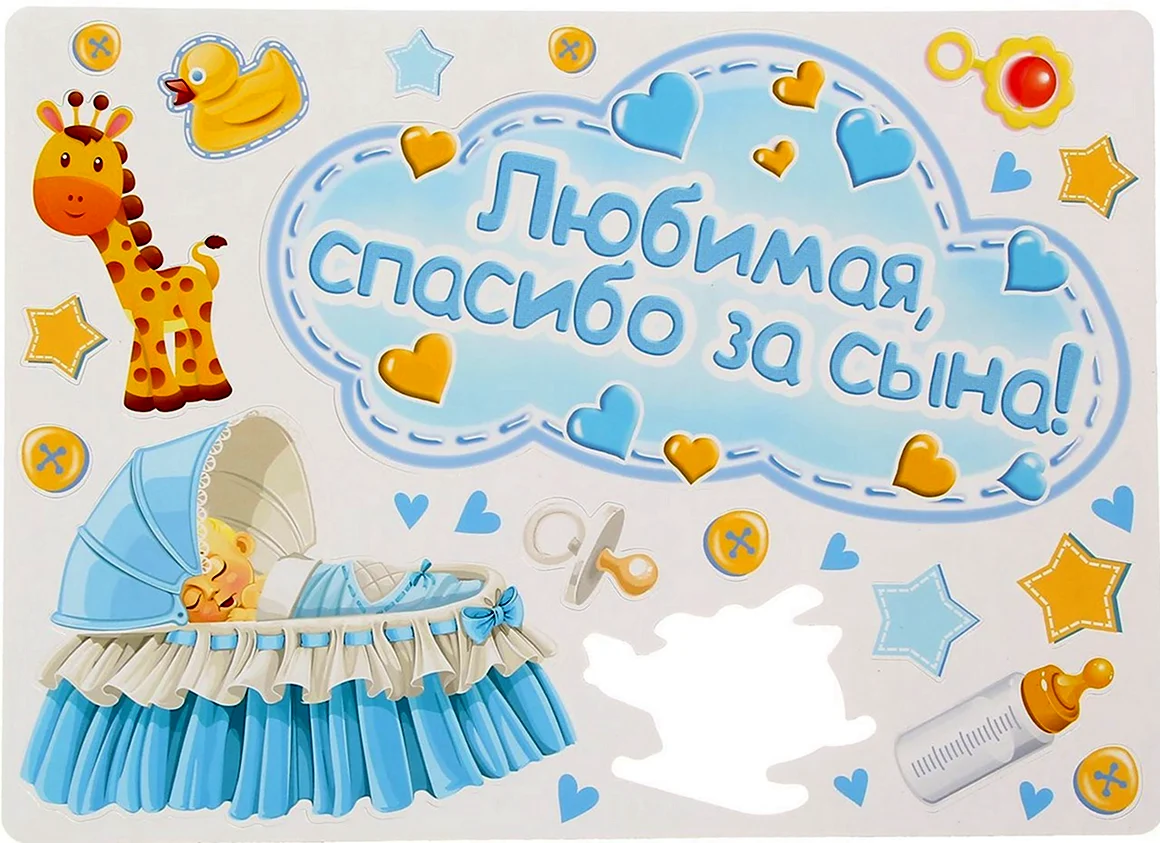 Везу домой сыночка