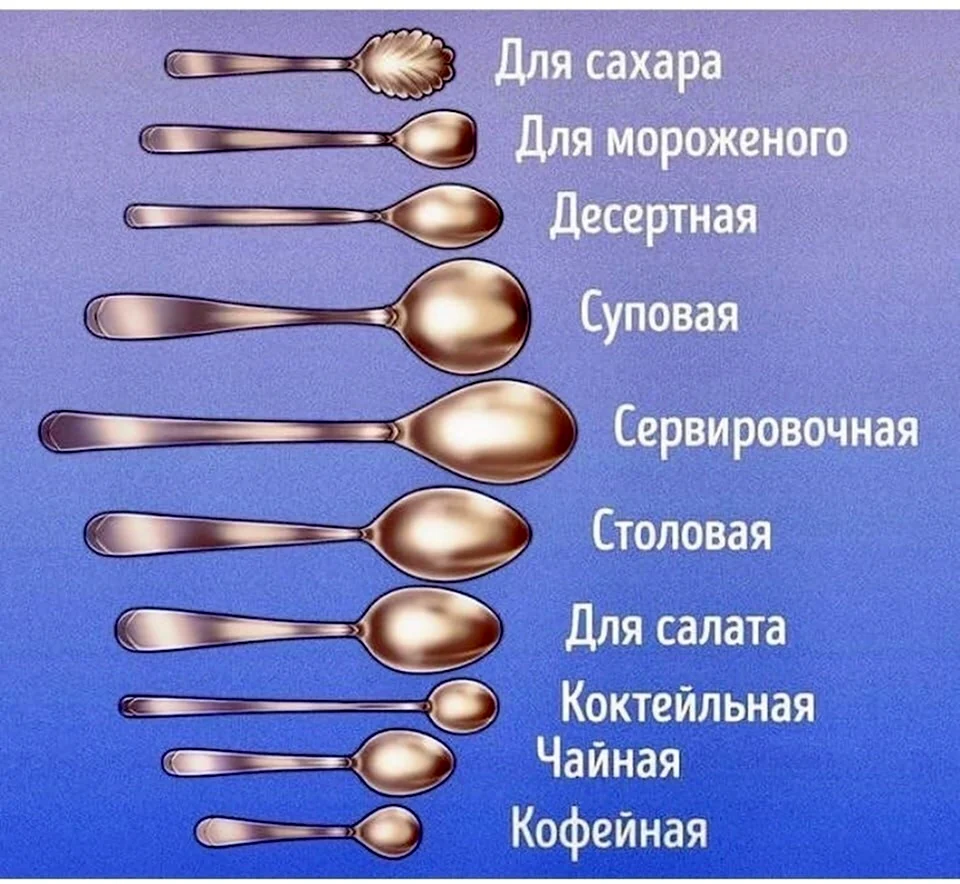 Виды ложек