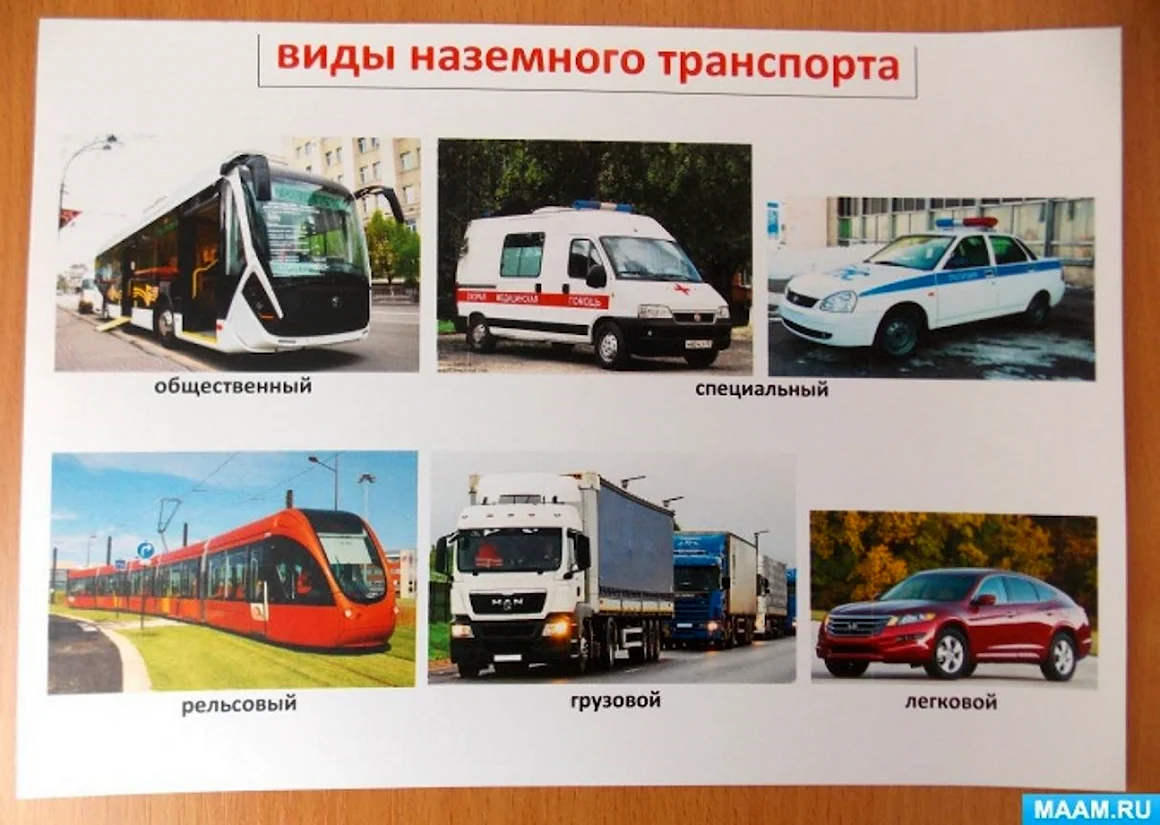 Виды наземного транспорта