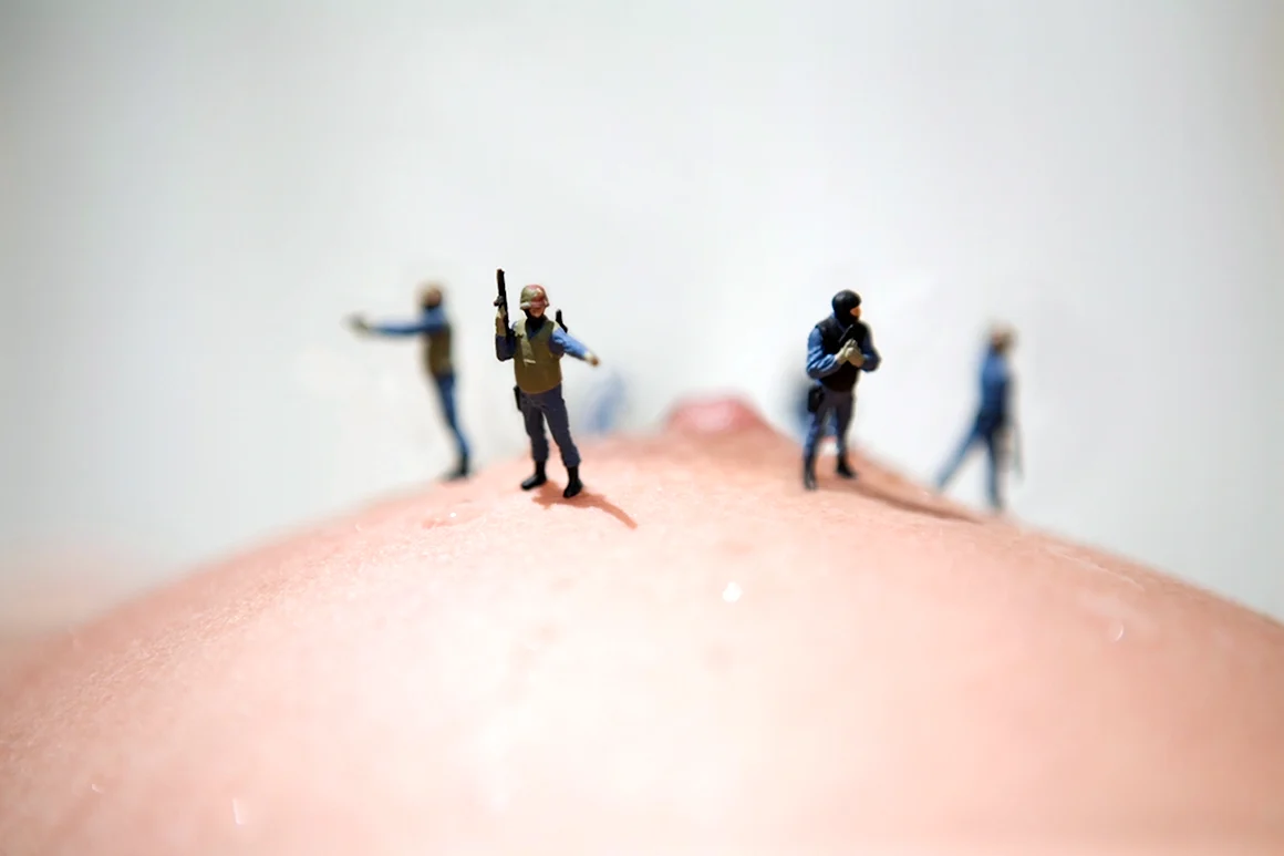 Vincent Bousserez Plastic Life
