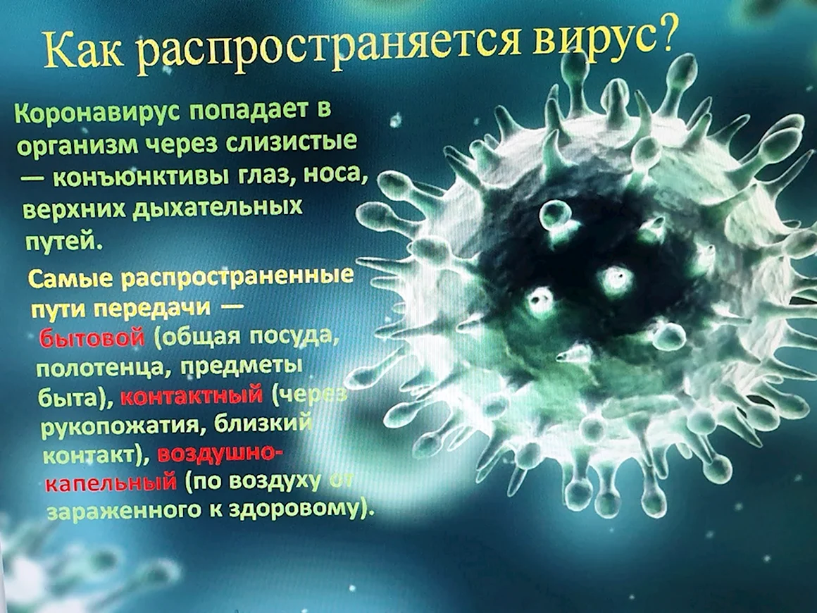 Вирус в организме