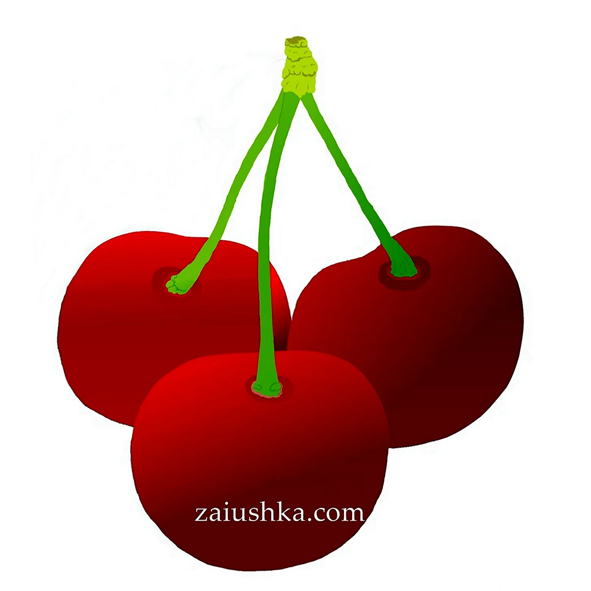 Вишня для детей