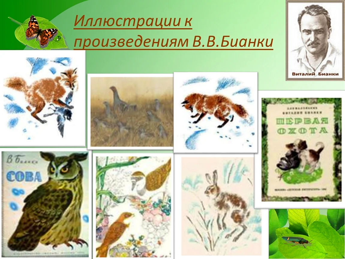 Виталий Бианки иллюстрации к произведениям