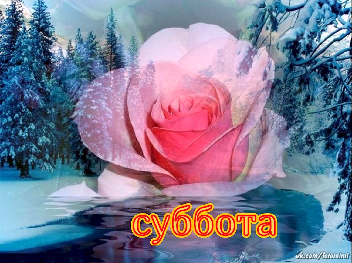 Vk.com fotomimi