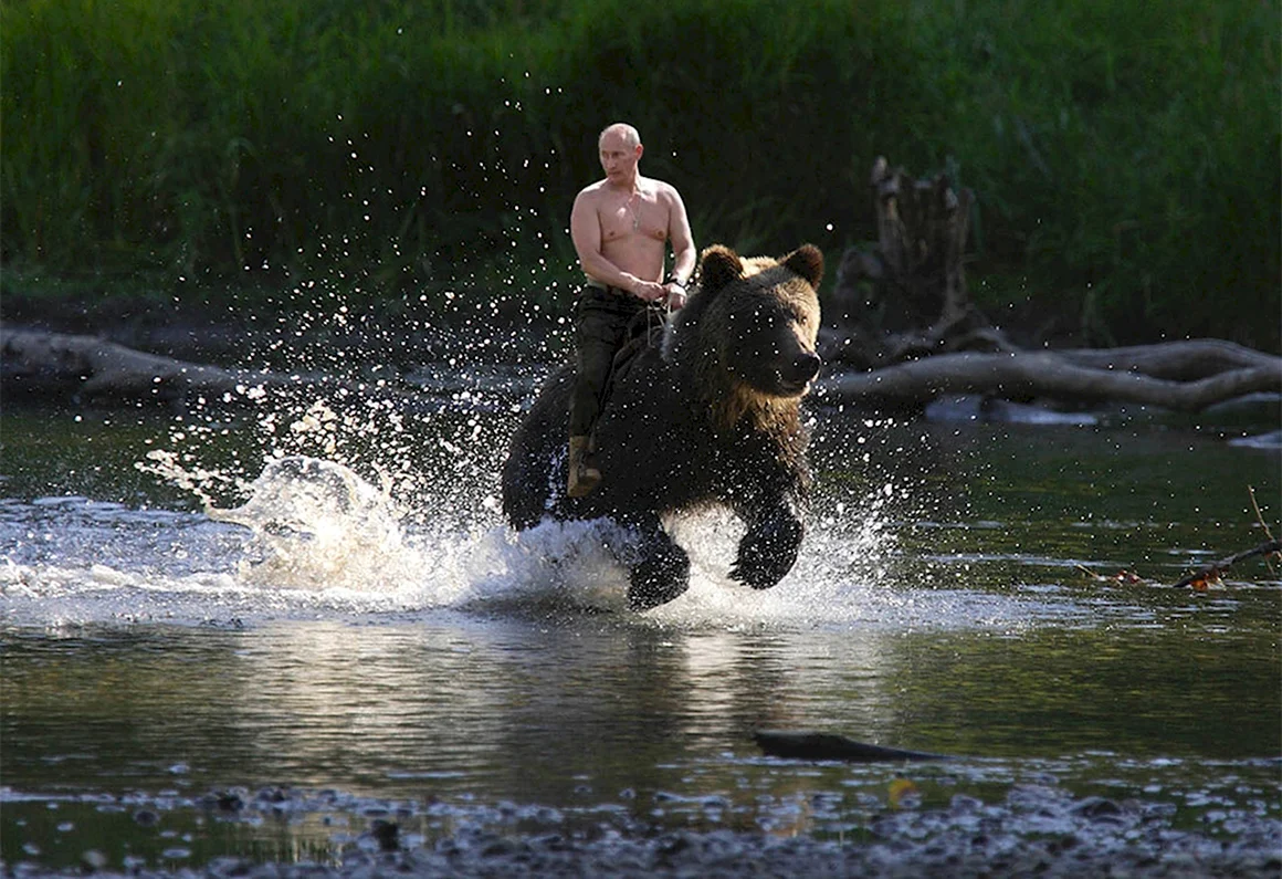 Владимир Путин на медведе