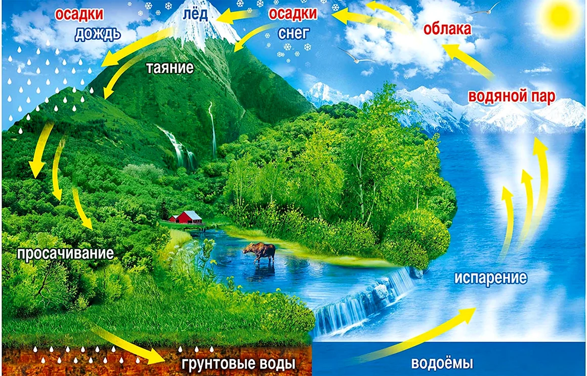 Вода круговорот воды в природе