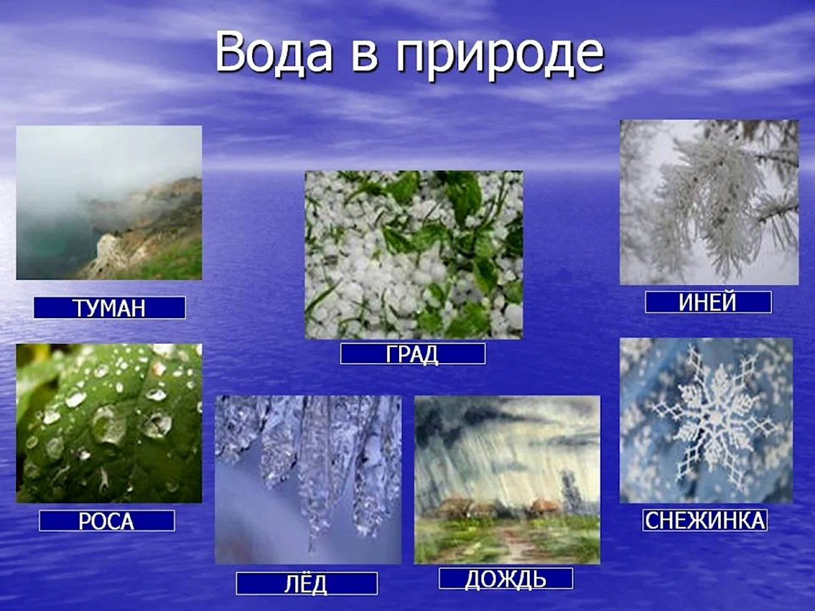 Вода в разных состояниях