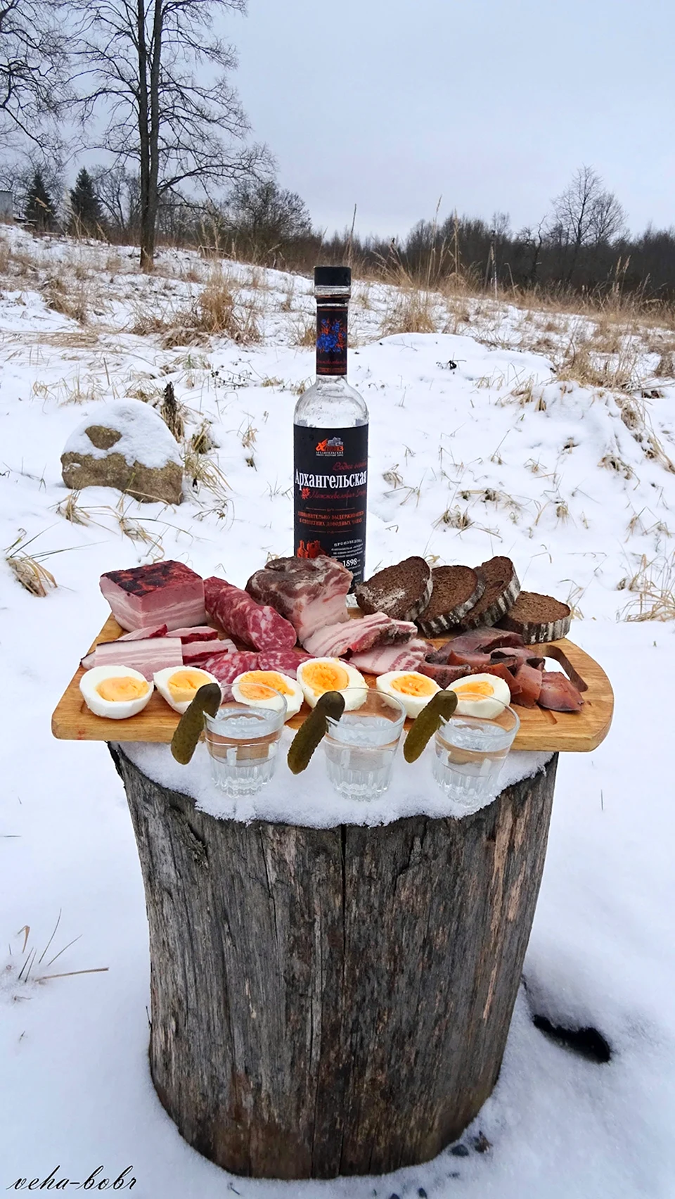 Водка на природе с закуской