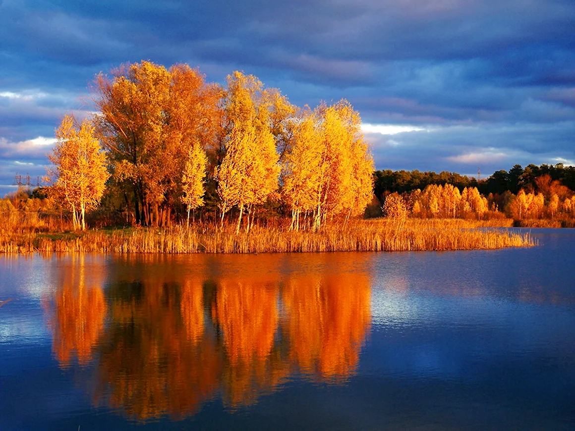 Волга река Самара осень