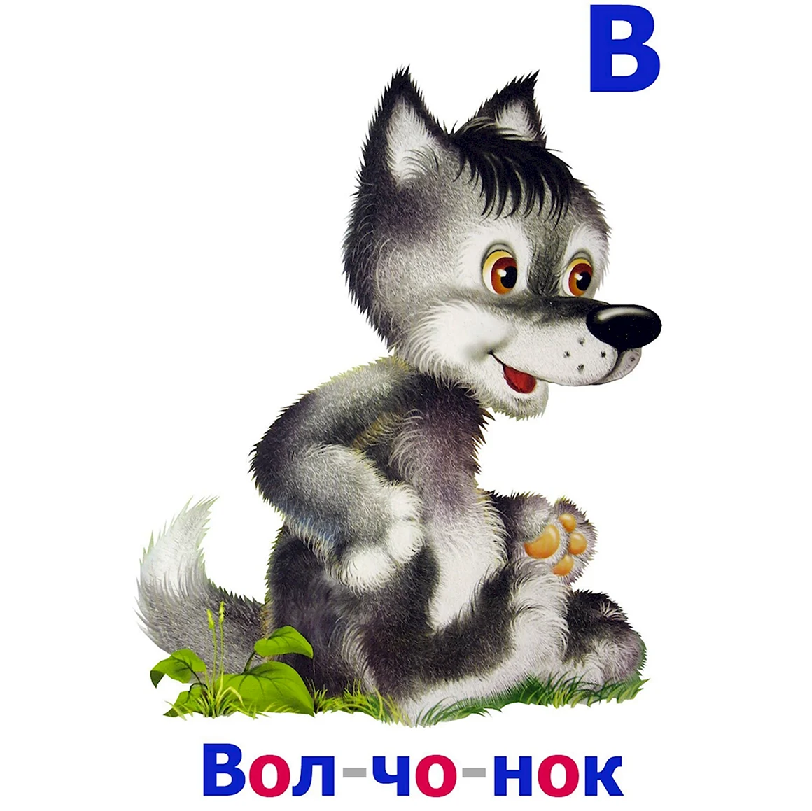 Волк для детей
