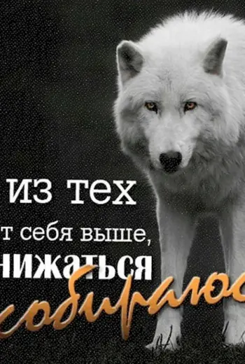 Волк со смыслом