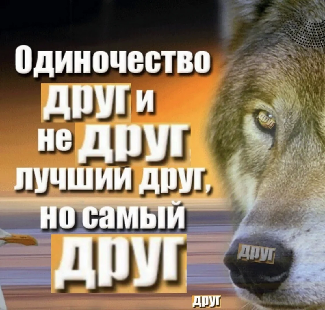 Волк цитаты со смыслом