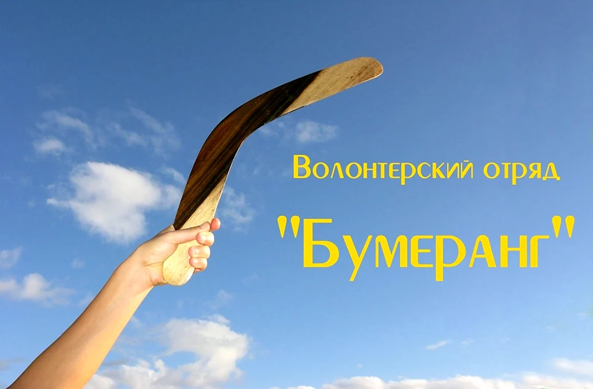 Волонтерский отряд Бумеранг