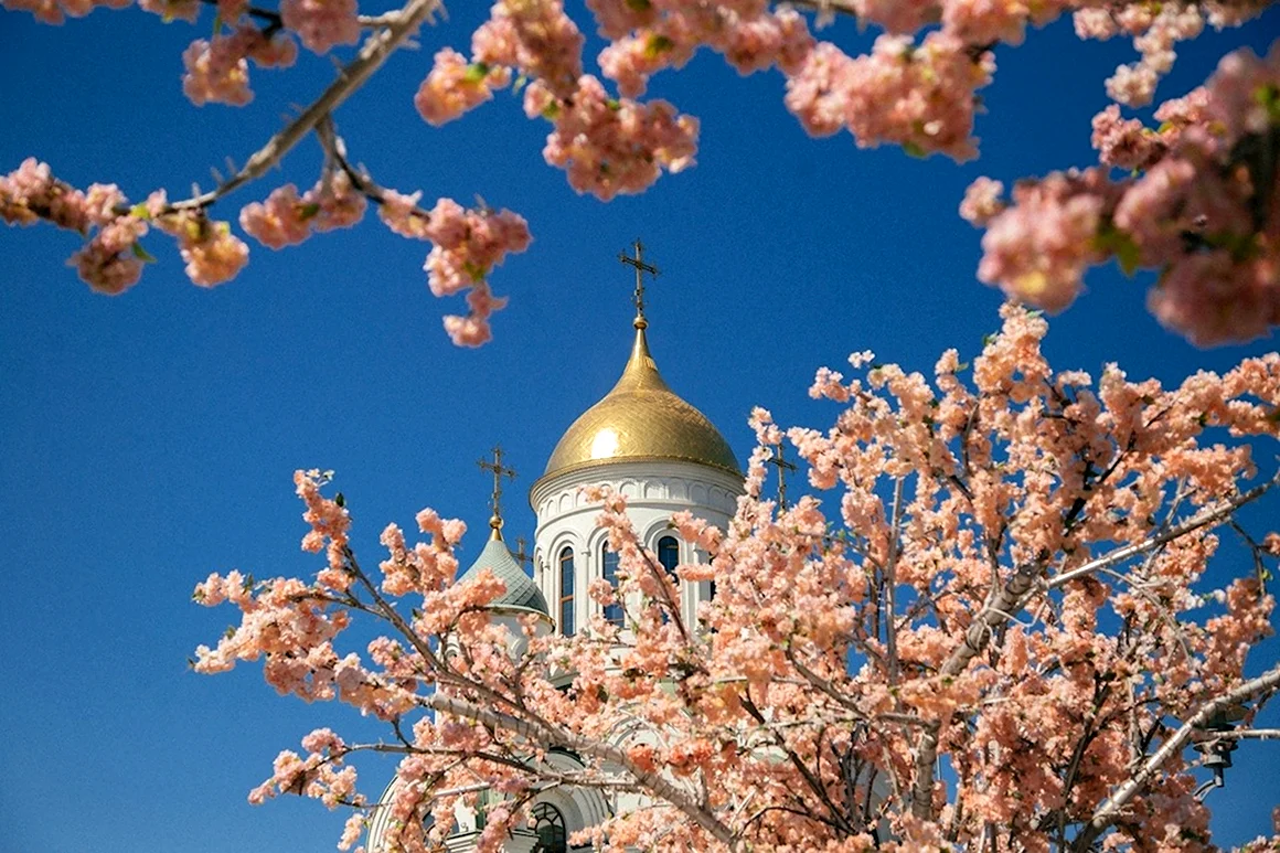 Воронеж осенью фото 2021 храм