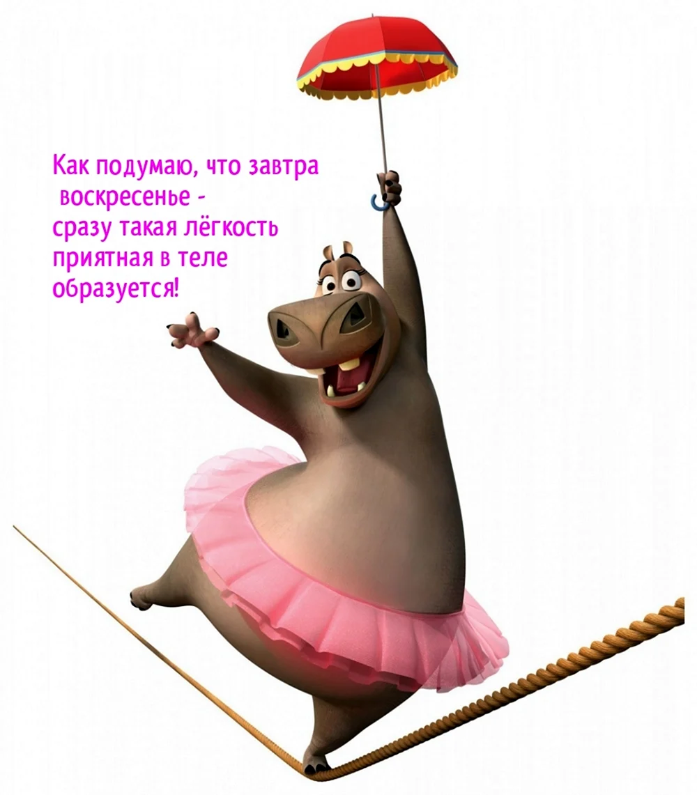 Воскресенье впереди радуйтесь