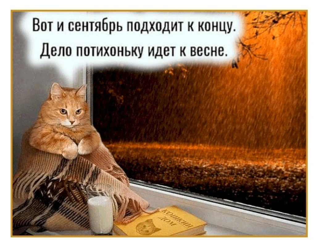 Вот и сентябрь подходит к концу