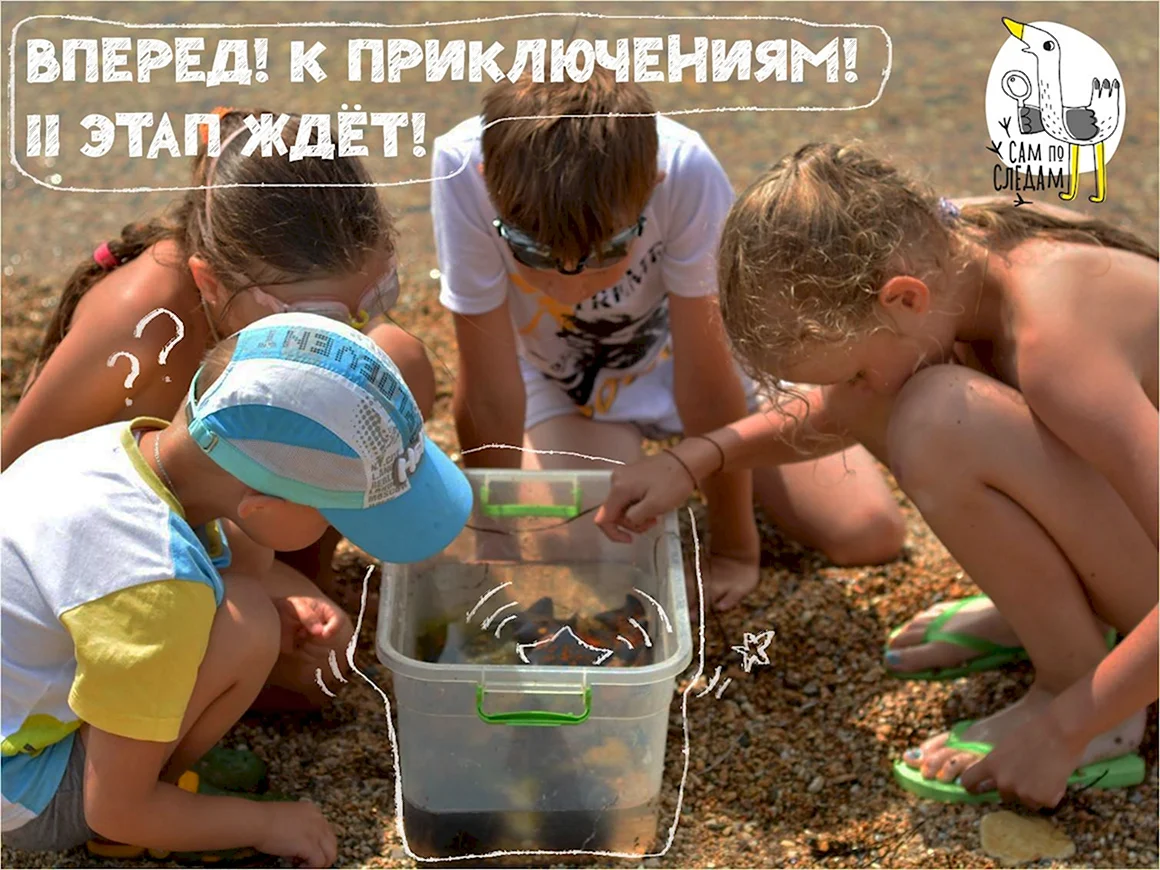 Вперед к приключениям