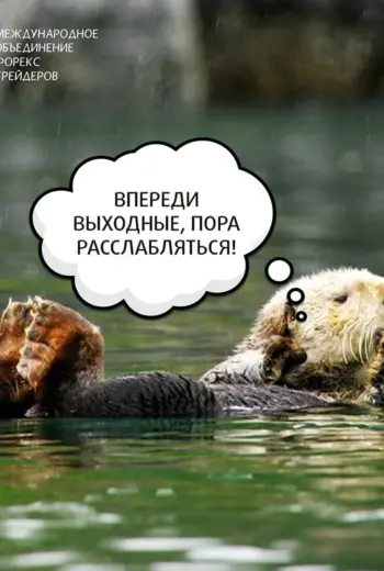 Впереди выходные