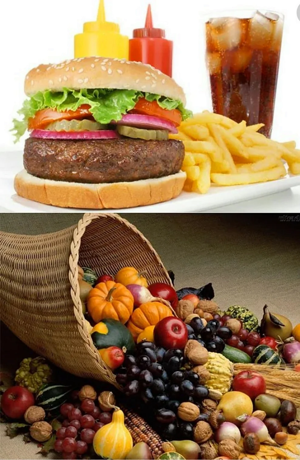 Вредная и здоровая пища
