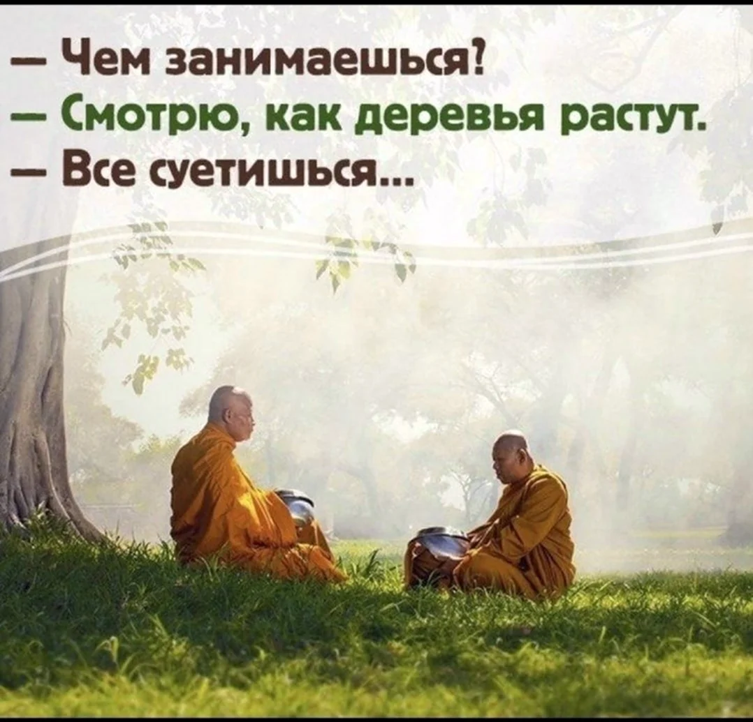 Все суетишься как деревья растут