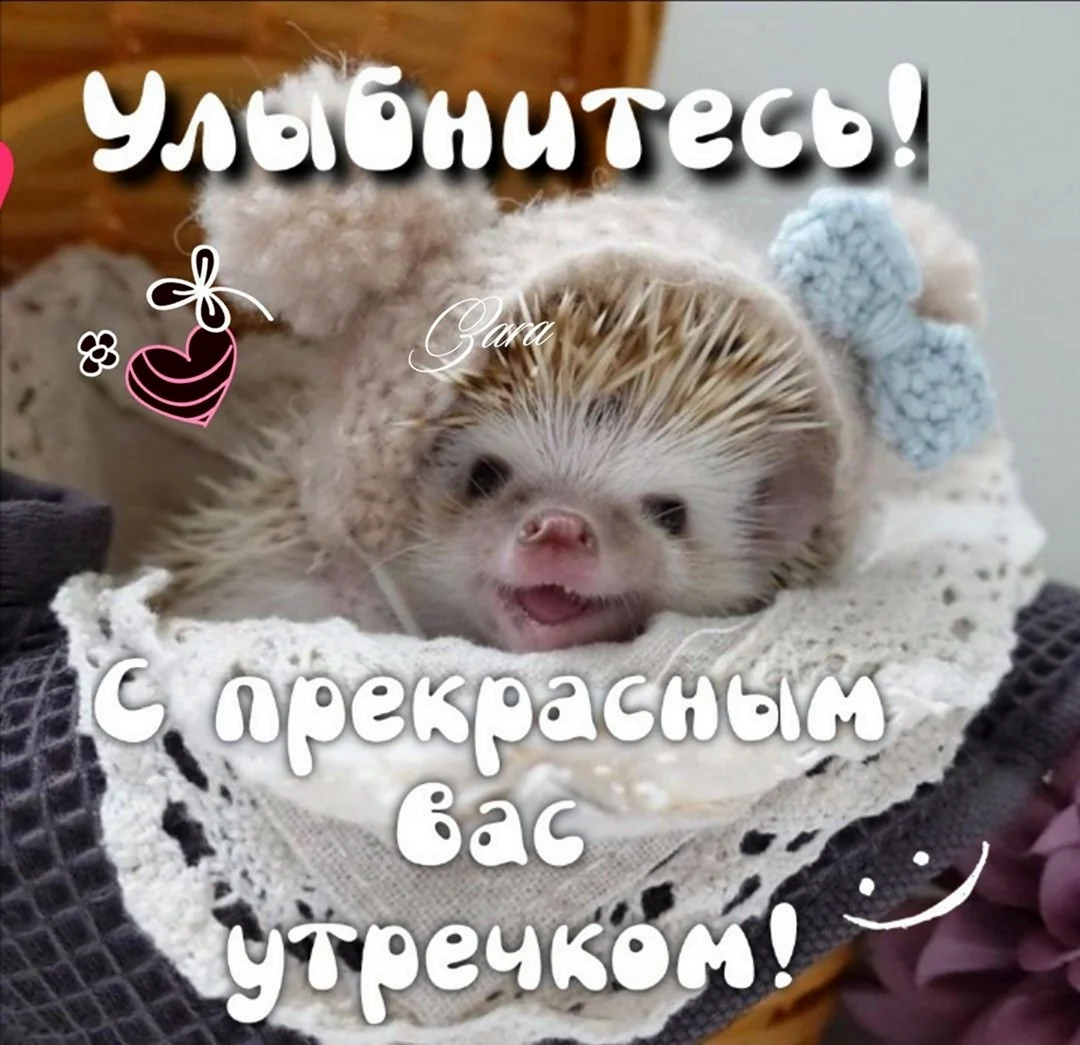 Всего доброго улыбнись