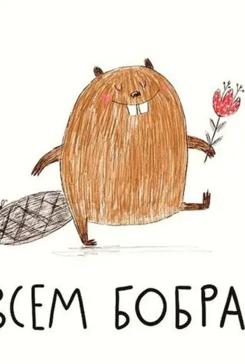 Всем бобра