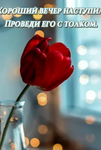 Всем хорошего вечера