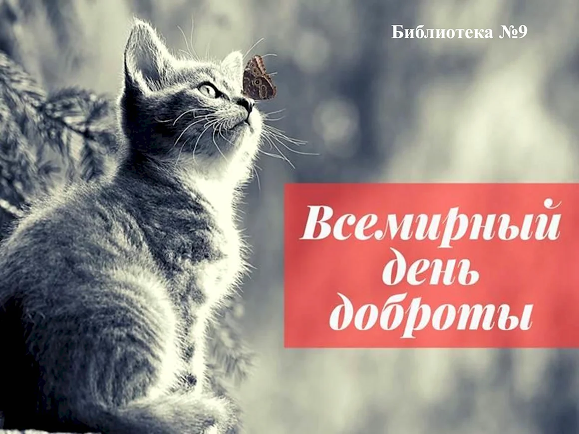 Всемирный день доброты фото