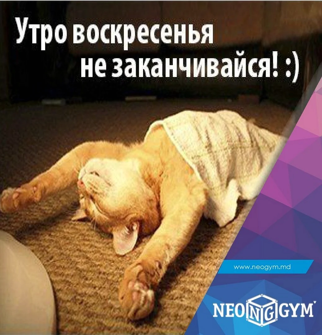 Всемирный день лени картинки с надписями