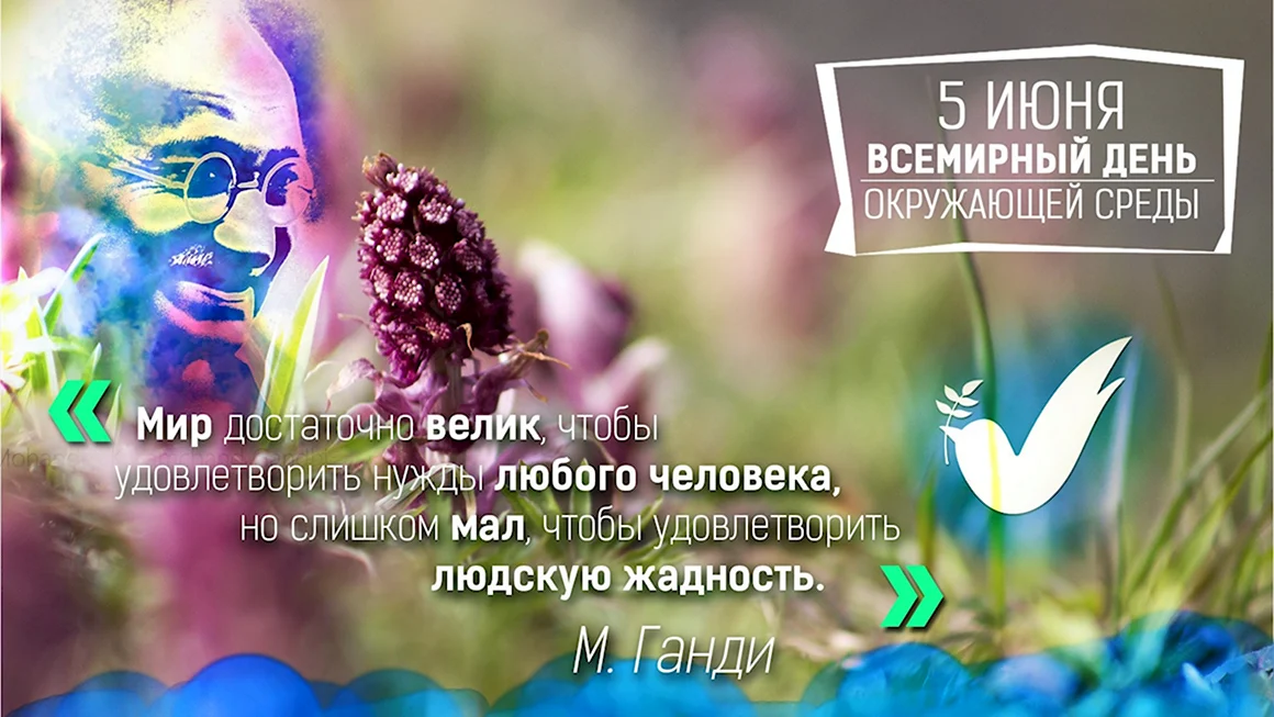 Всемирный день окружающей среды