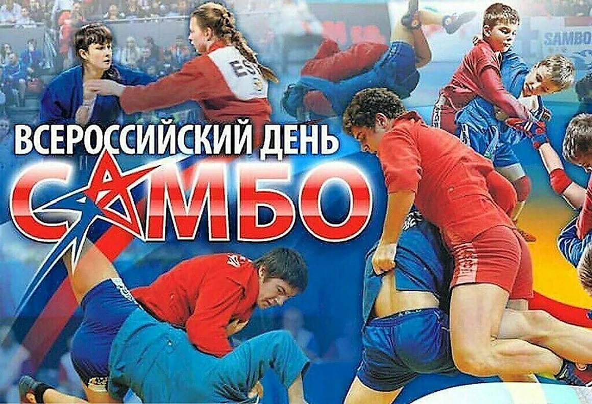 Всероссийский день самбо
