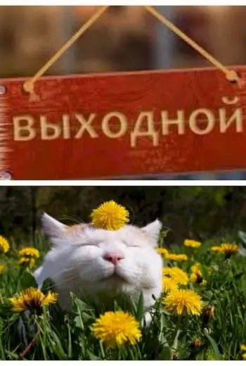 Выходной картинки