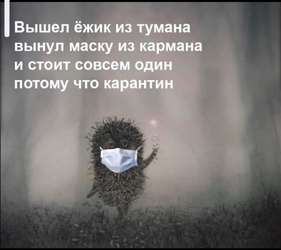 Вышел Ёжик из тумана вынул маску из кармана