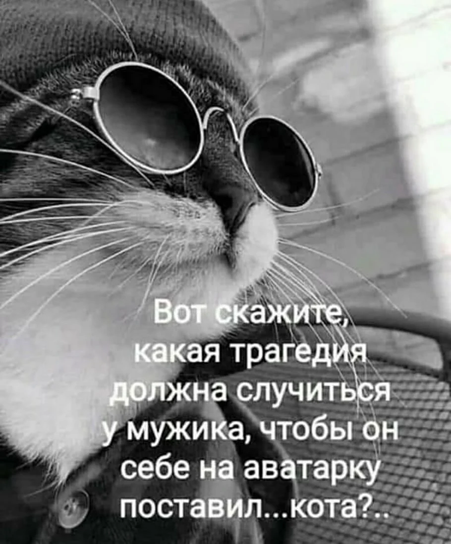Высказывания на аватарку