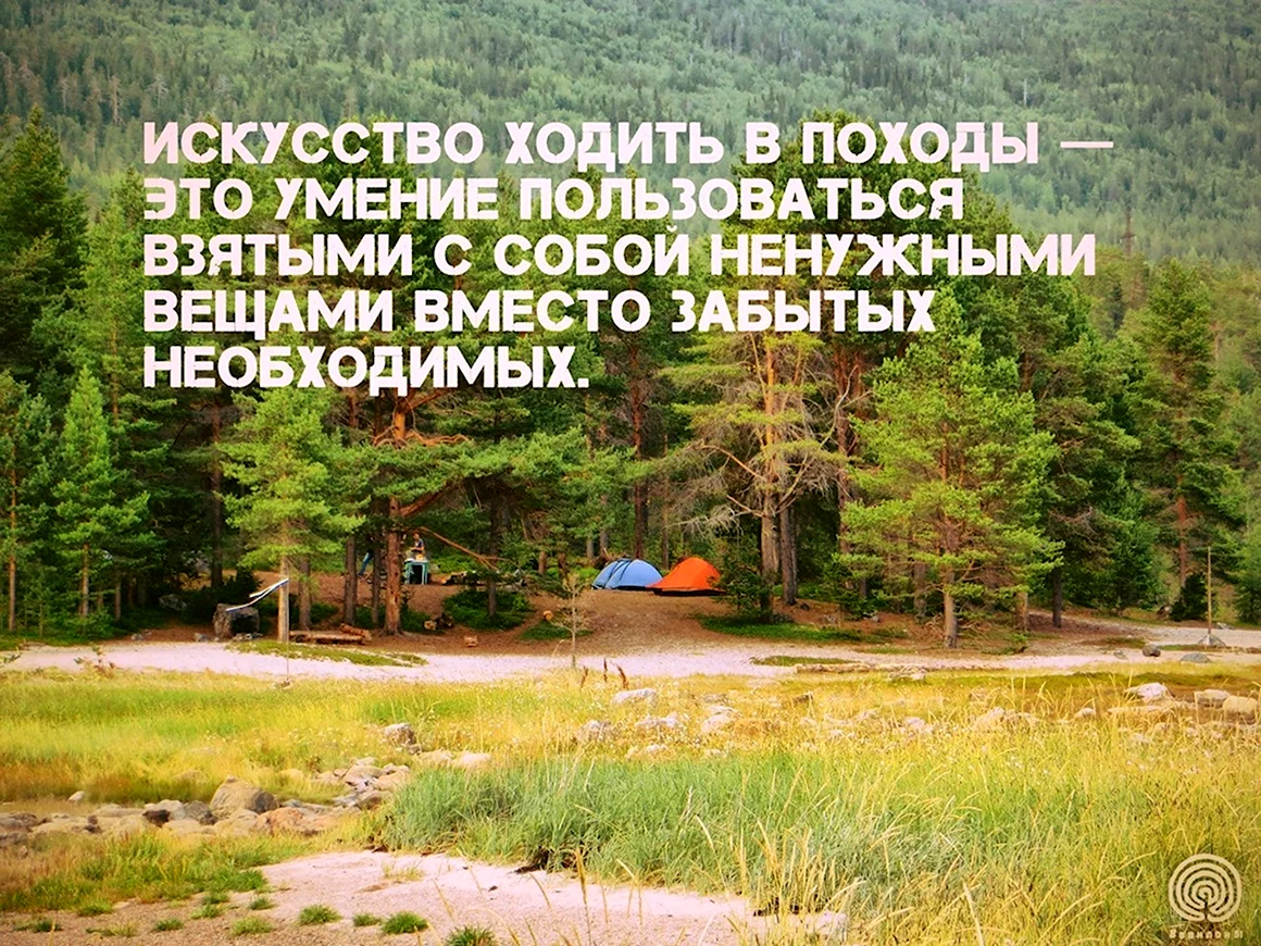 Высказывания о походах