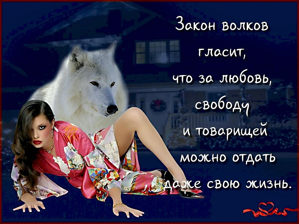 Высказывания о волках