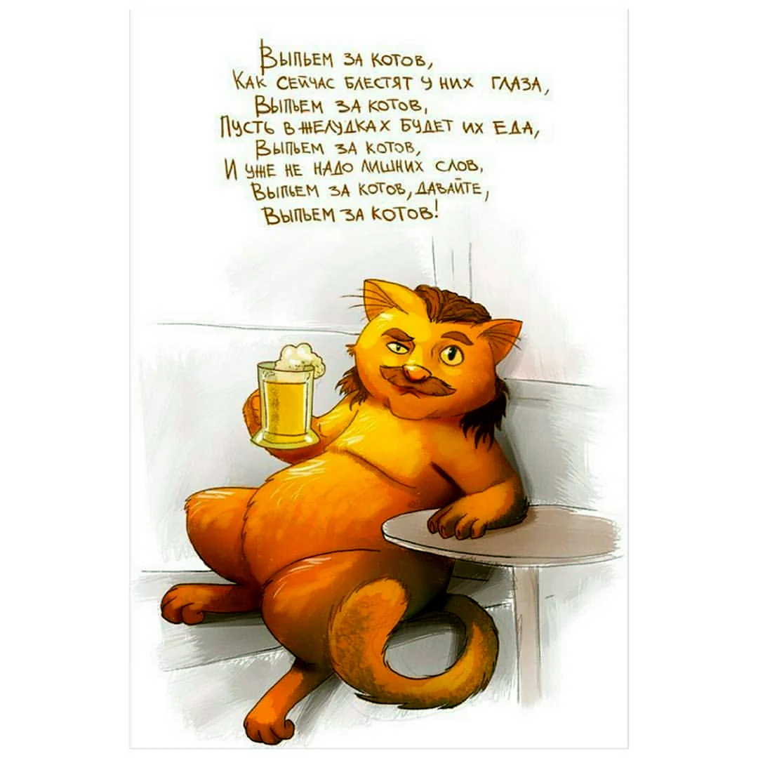 Высказывания про кота