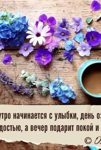 Высказывания с добрым утром