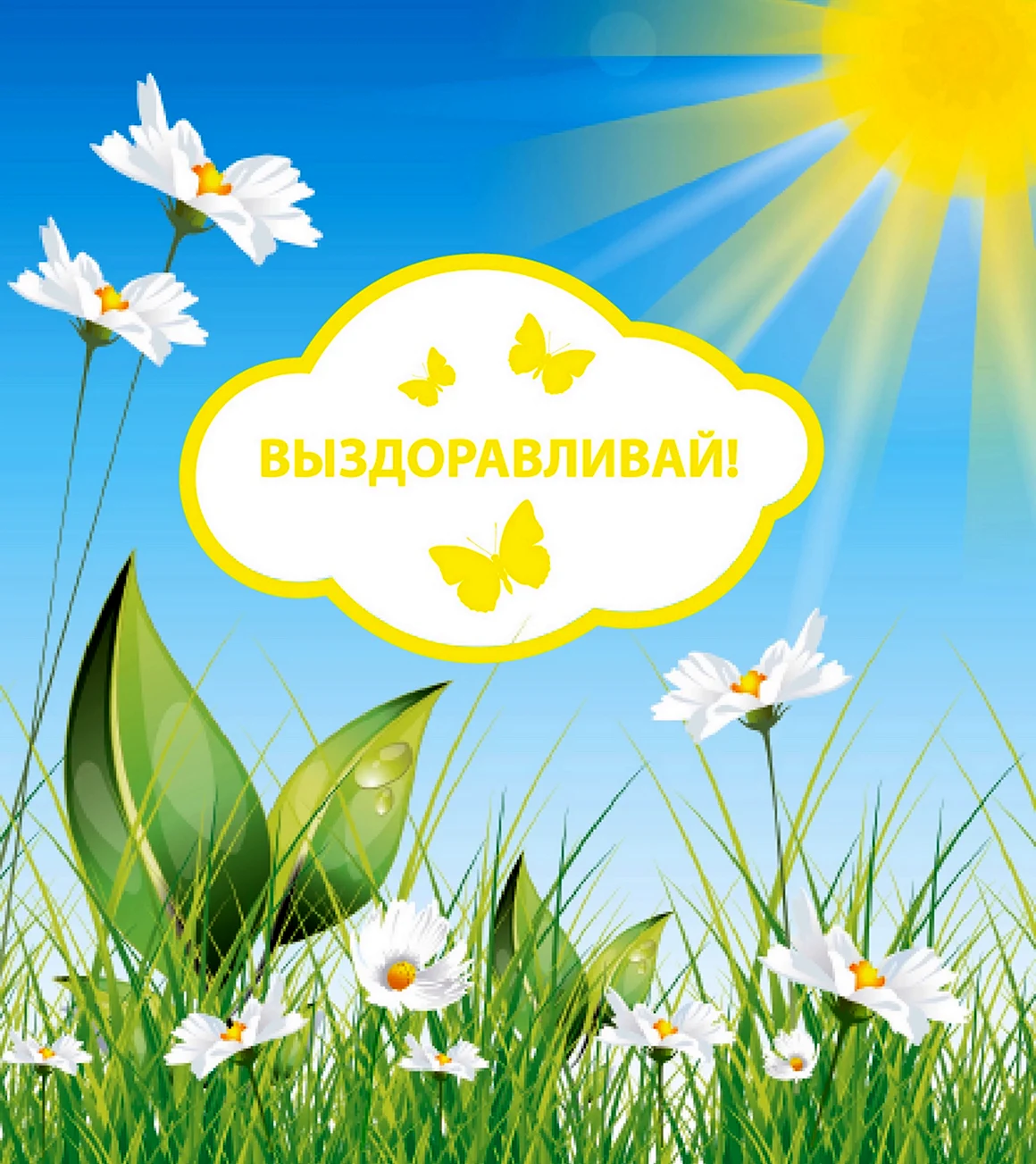 Выздоравливай