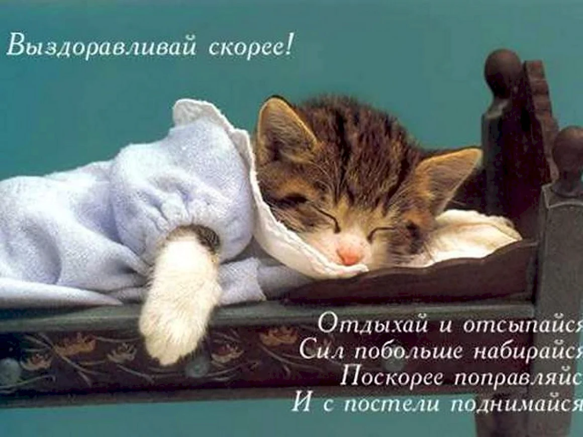 Выздоравливай скорее